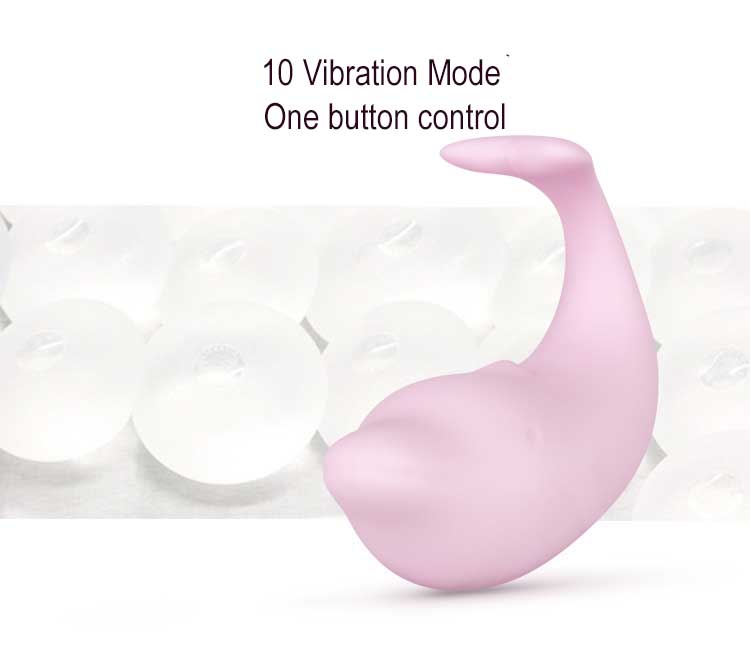 Dolphin Vibrator (2)