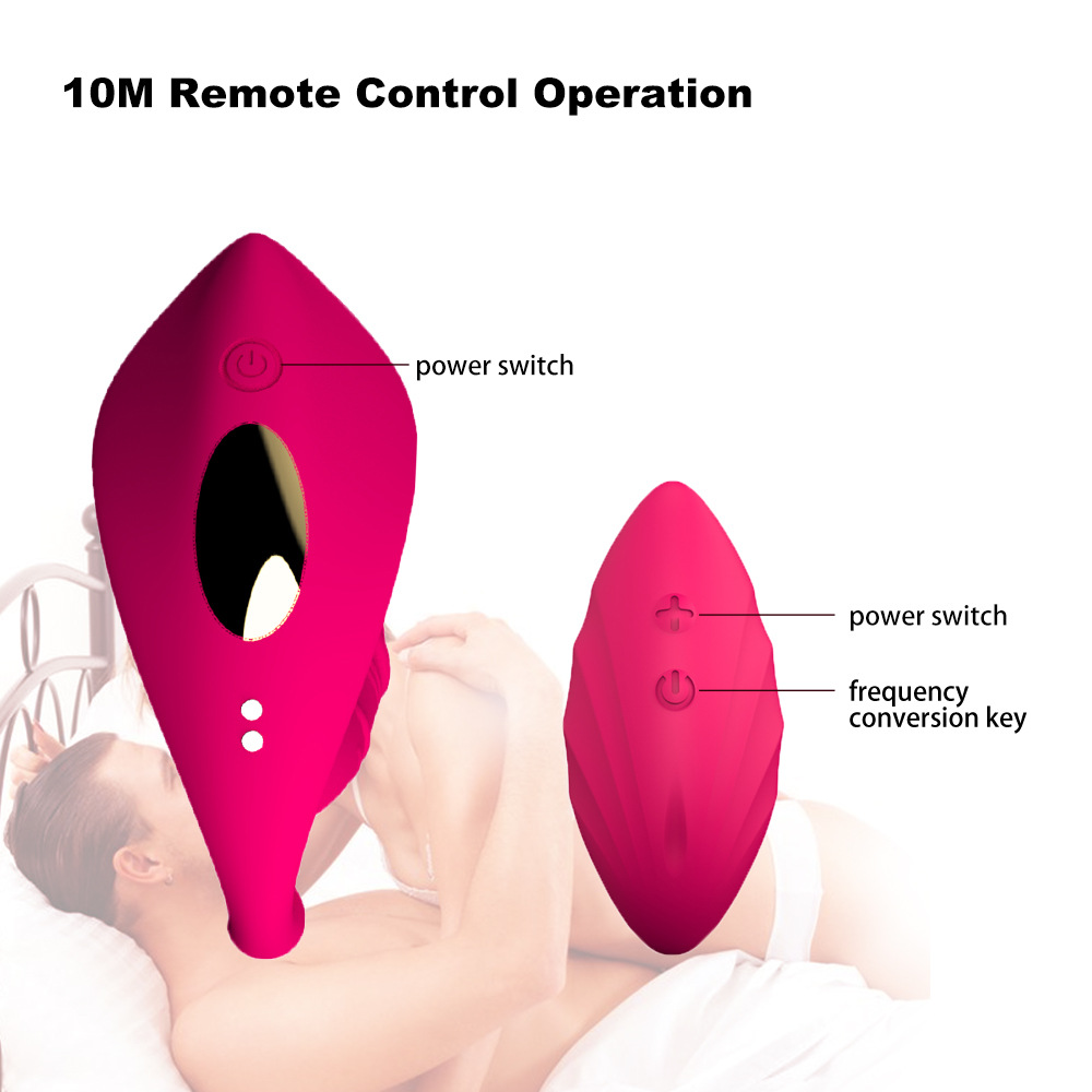 I-Remote Sex Vibrator (11)