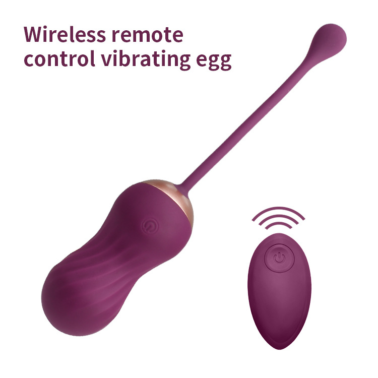 Remote Vibrator (3)