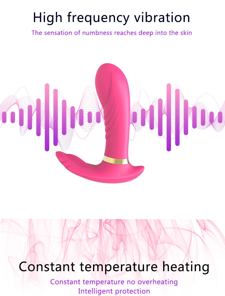 Vibrador Remoto (3)