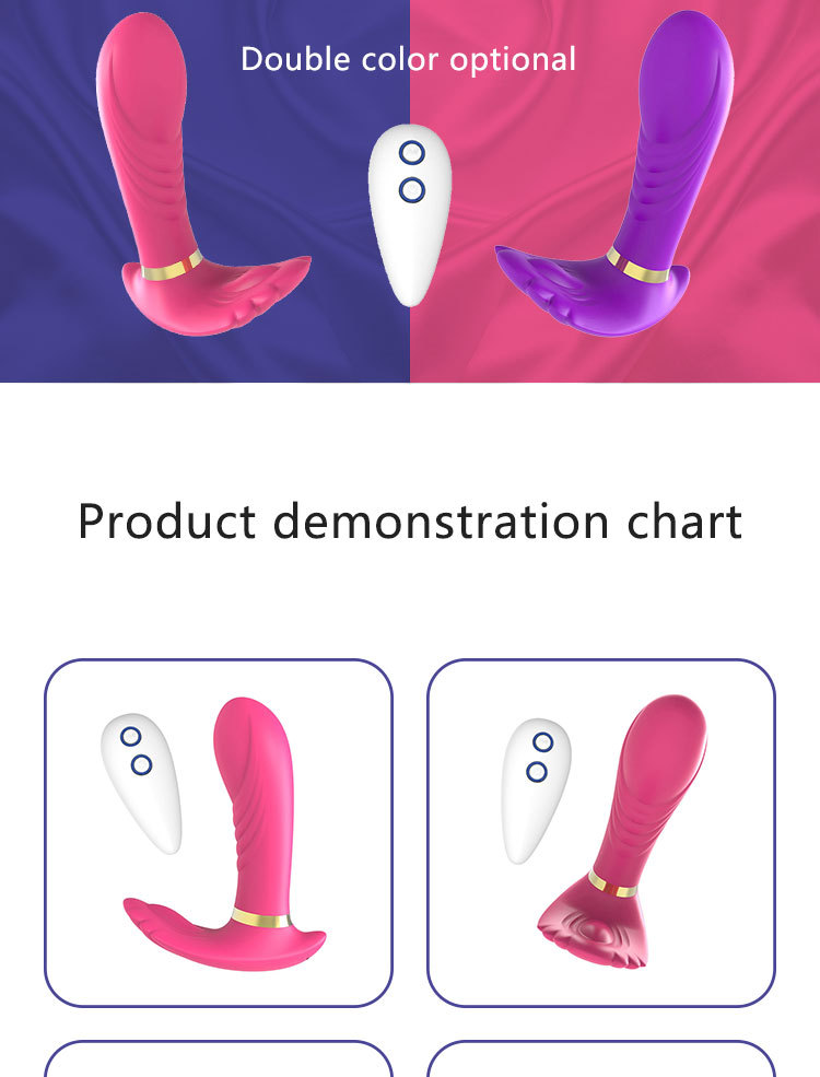 Remote Vibrator (6)