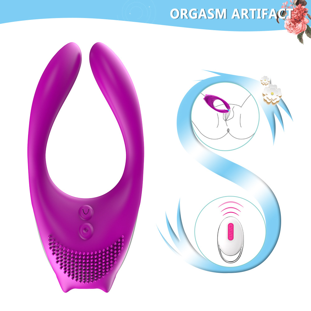 Vibrator (1)