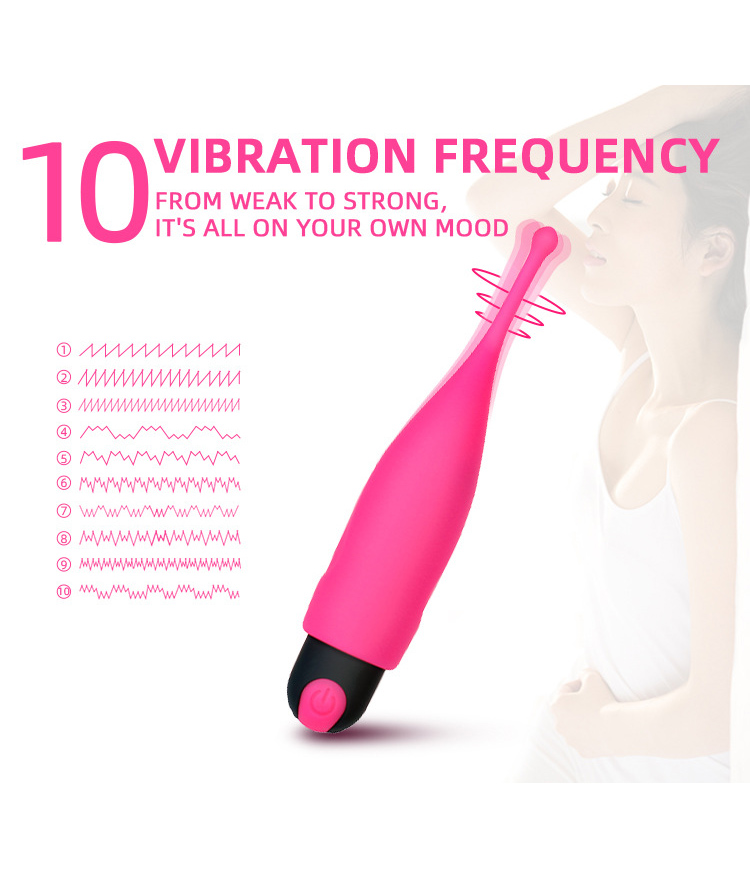 Vibrators  (1)