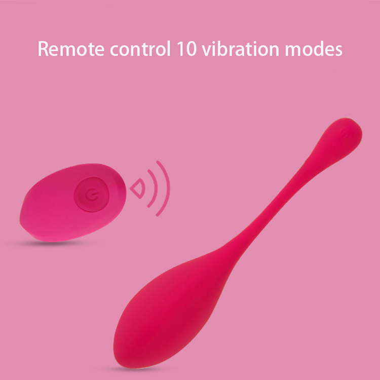 remote sex toys (2)